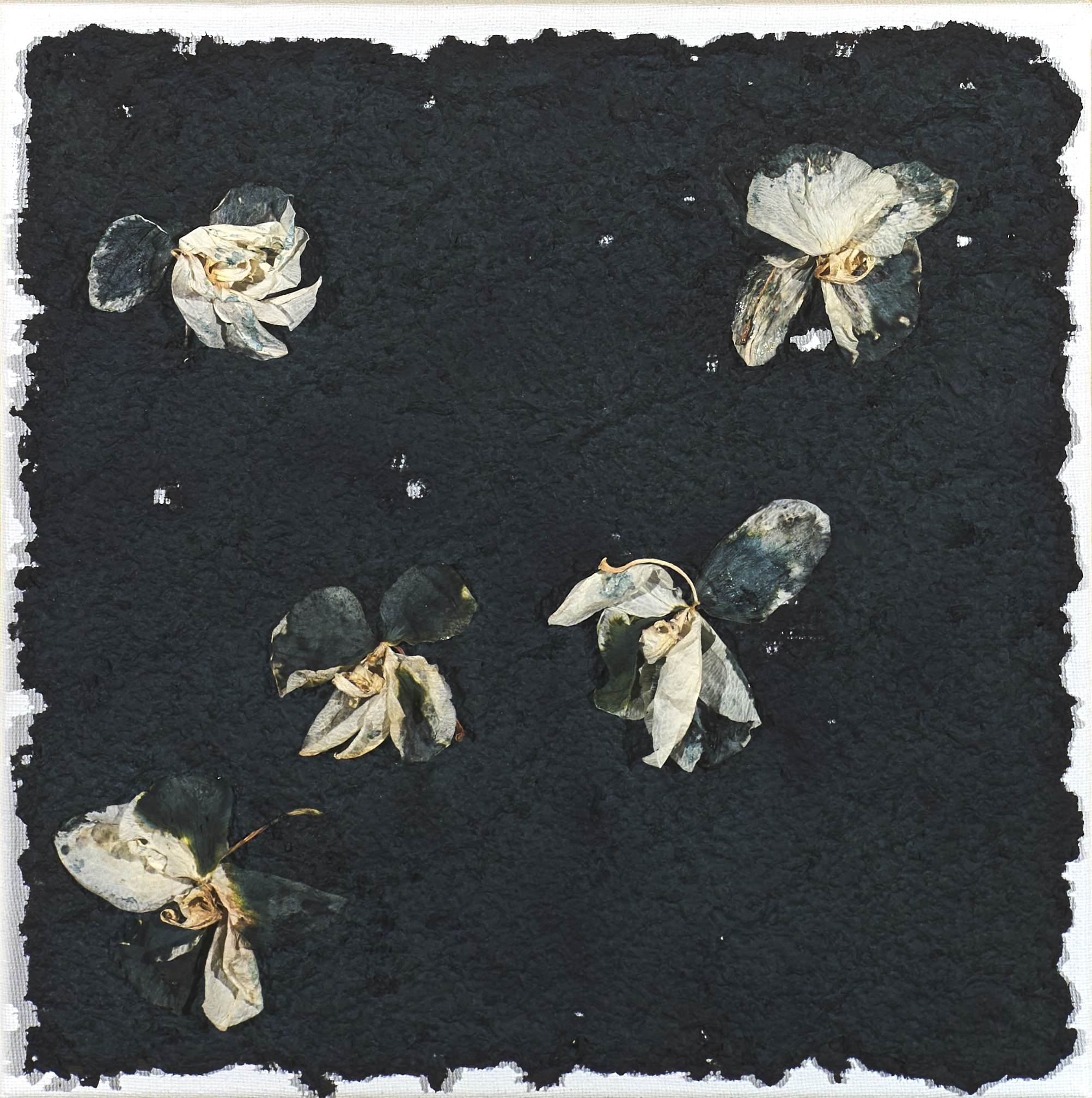 Romani Barbara_001_SERIE ORCHIDEE_30x30_2024
