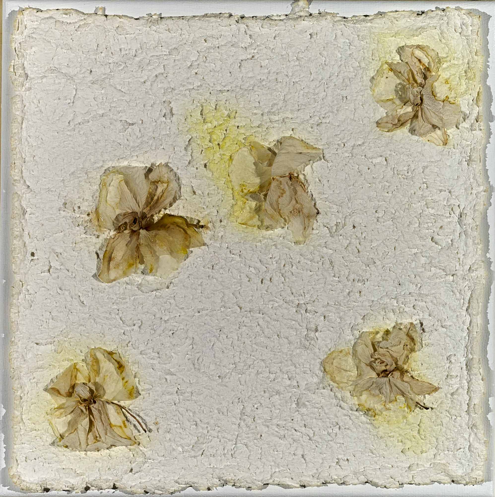 Romani Barbara_004_SERIE ORCHIDEE_30x30_2024