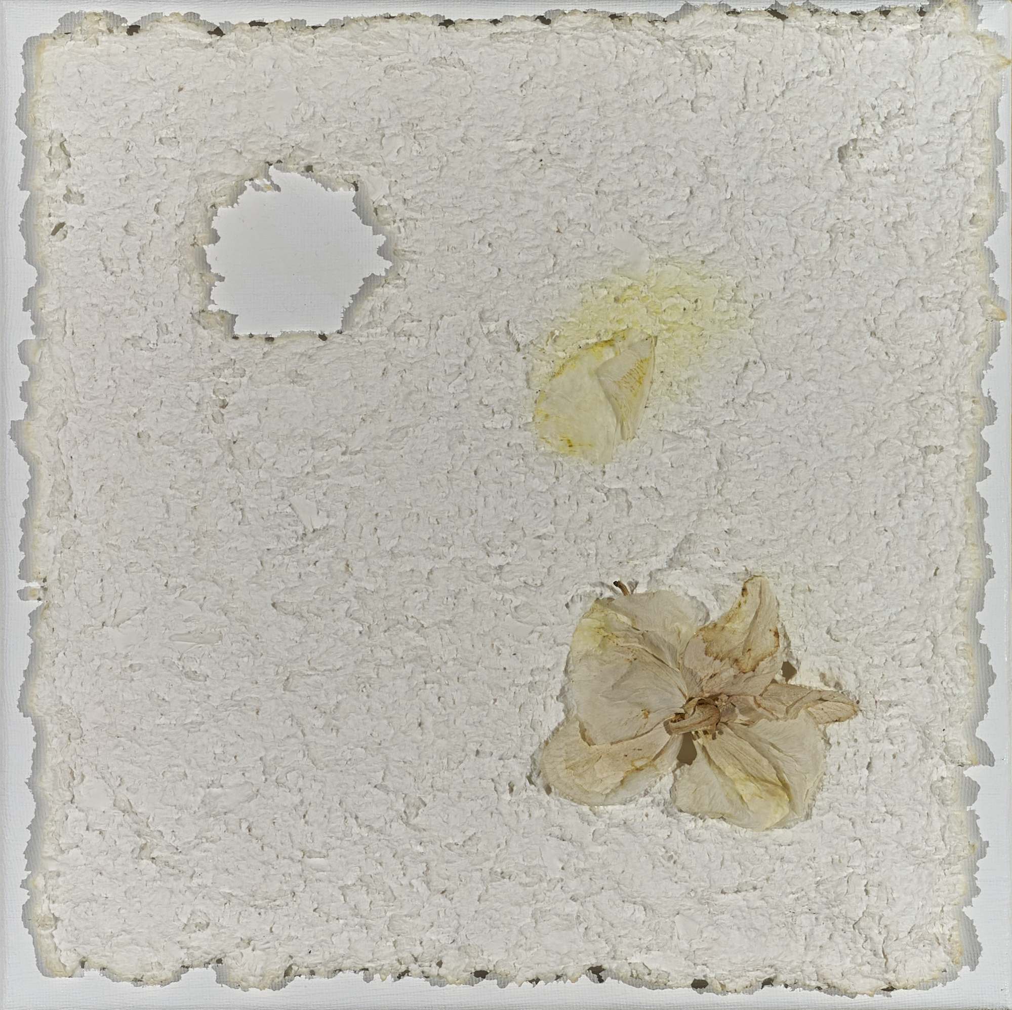 Romani Barbara_005_SERIE ORCHIDEE_30x30_2024
