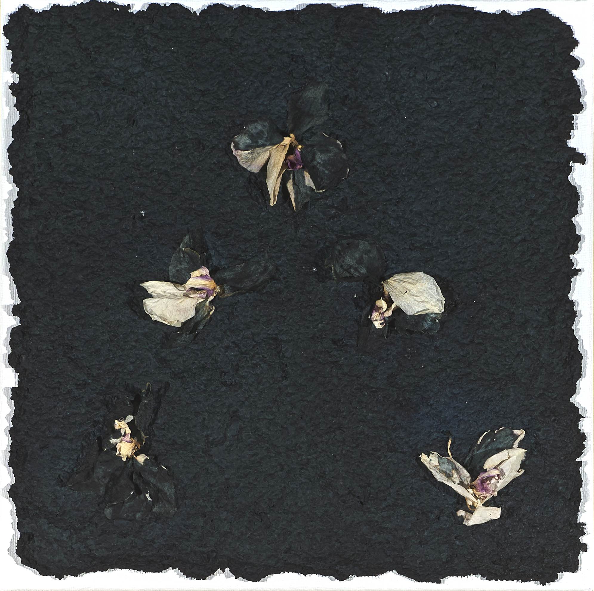 Romani Barbara_006_SERIE ORCHIDEE_30x30_2024