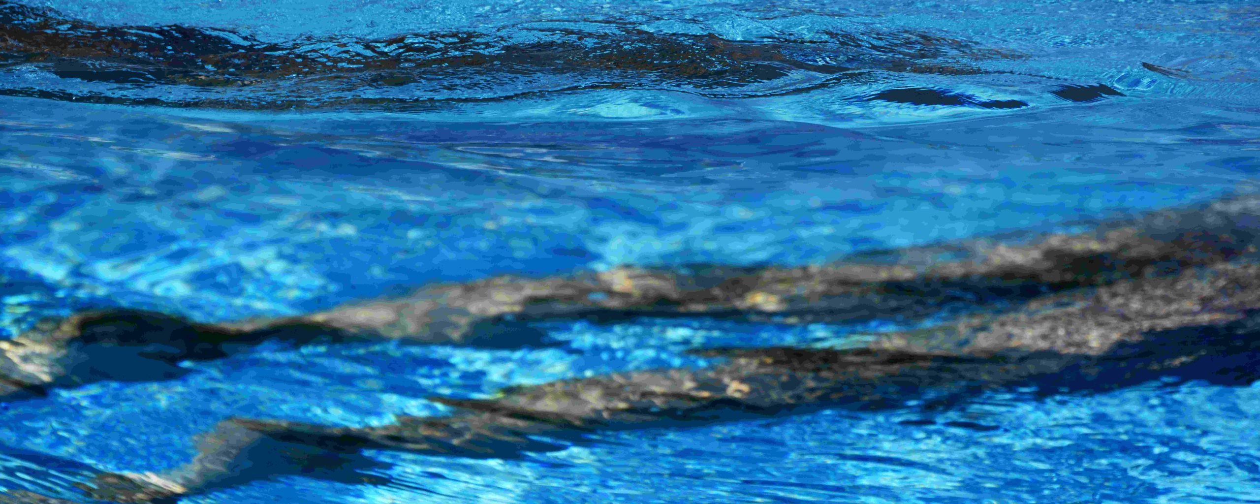 Susi Danilo_002_Serie Acquastratta, Metamorfosi, 2022, stampa digitale, cm 40x100 Susi Danilo_002_Serie Acquastratta, Metamorfosi, 2022, stampa digitale, cm 40x100