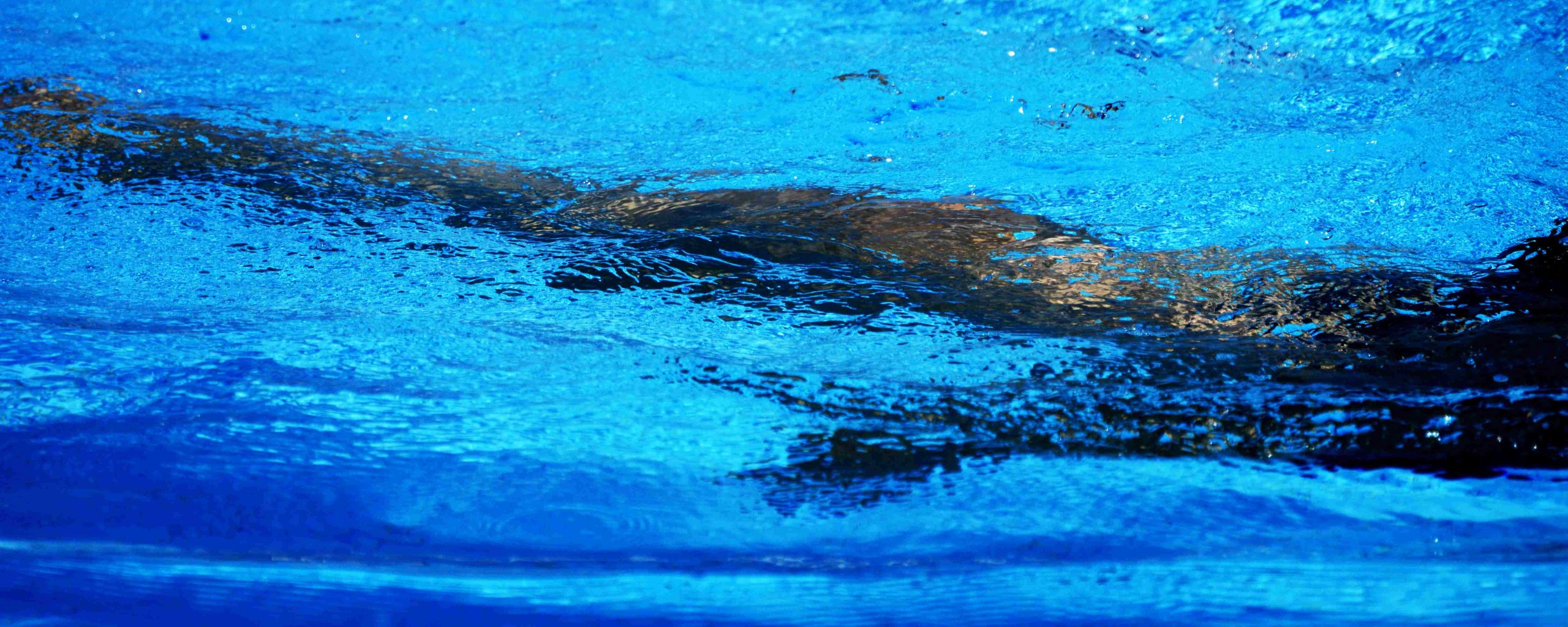 Susi Danilo_004_Serie Acquastratta, Metamorfosi, 2022, stampa digitale, cm 40x100 Susi Danilo_004_Serie Acquastratta, Metamorfosi, 2022, stampa digitale, cm 40x100