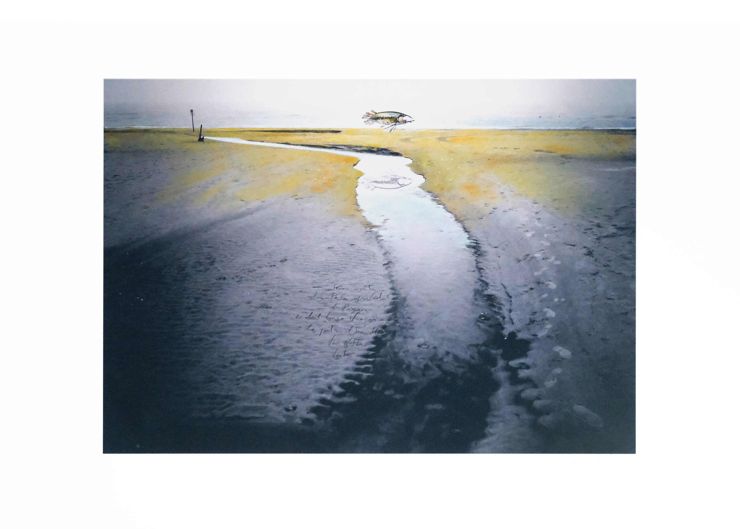 In Darkness, We Grow #2, 2024 - 70x100 cm - Tecnica mista su stampa digitale