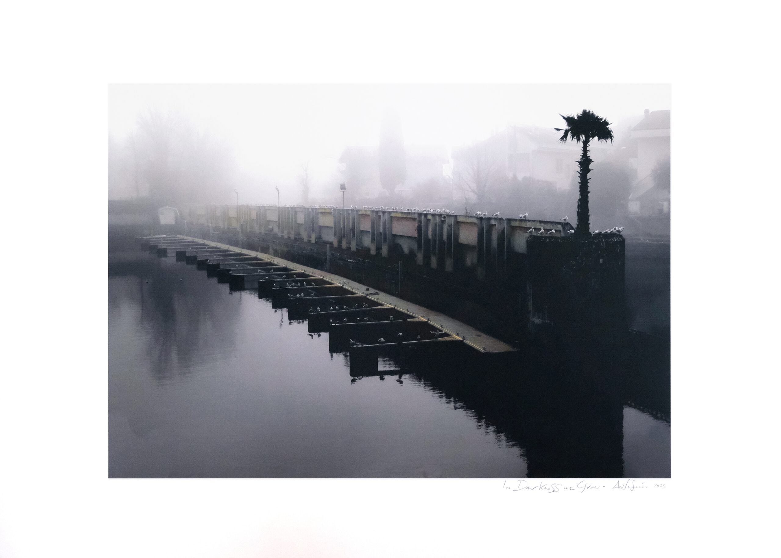 In Darkness, We Grow #5, 2024 - 70x100 cm - Tecnica mista su stampa digitale