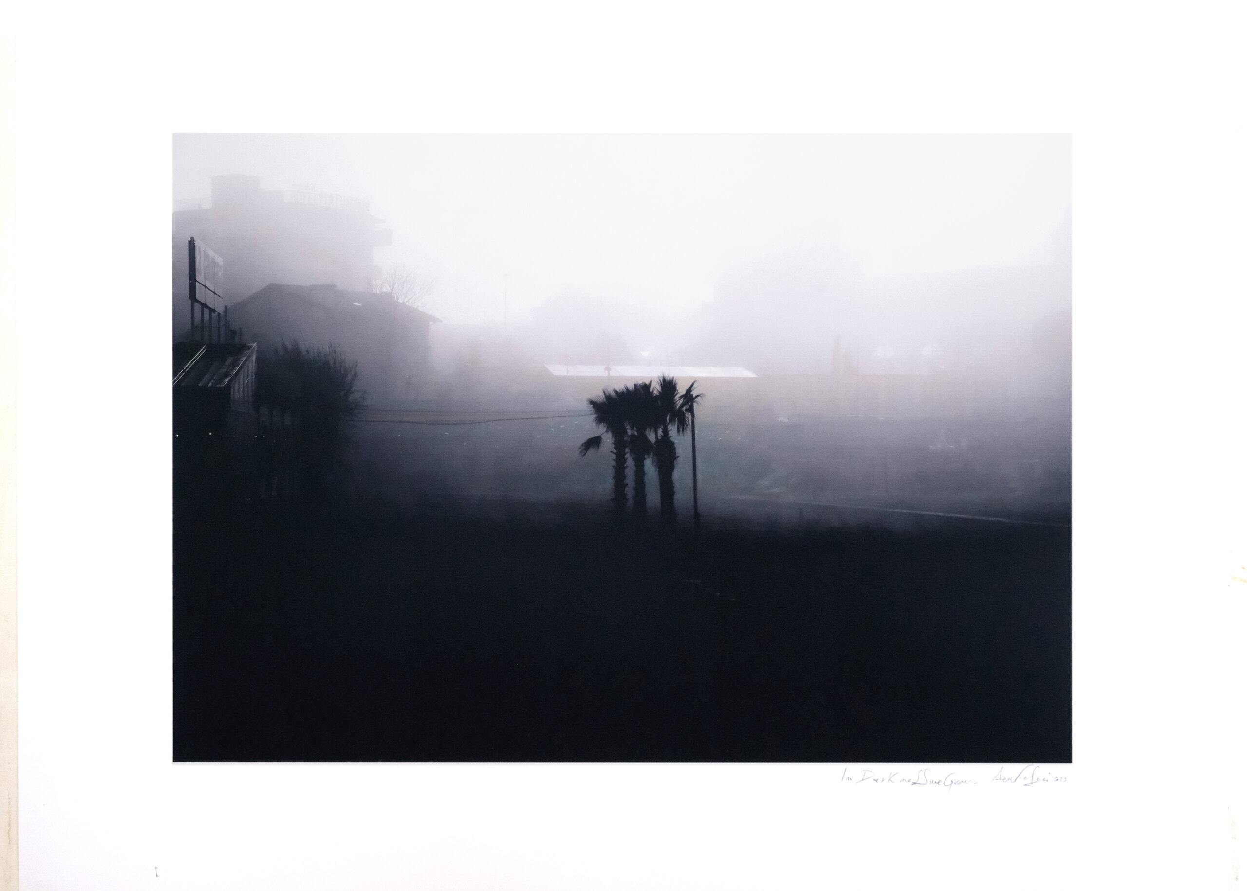 In Darkness, We Grow #6, 2024 - 70x100 cm - Tecnica mista su stampa digitale