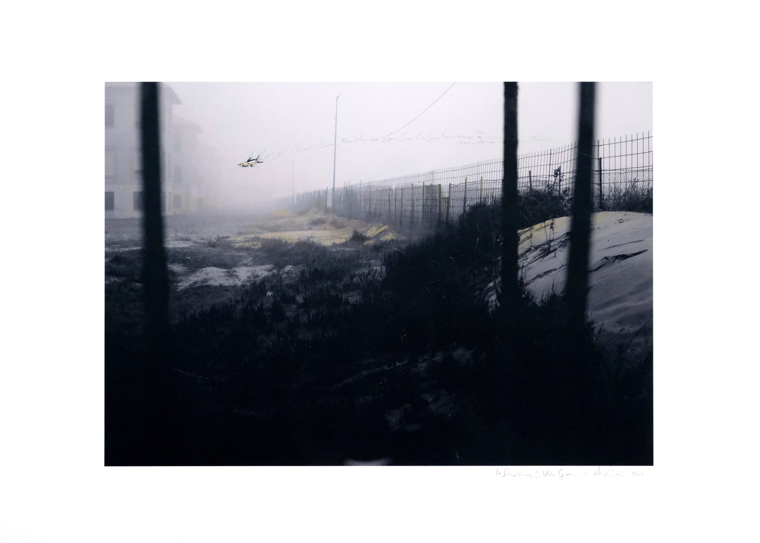 In Darkness, We Grow #7, 2024 - 70x100 cm - Tecnica mista su stampa digitale