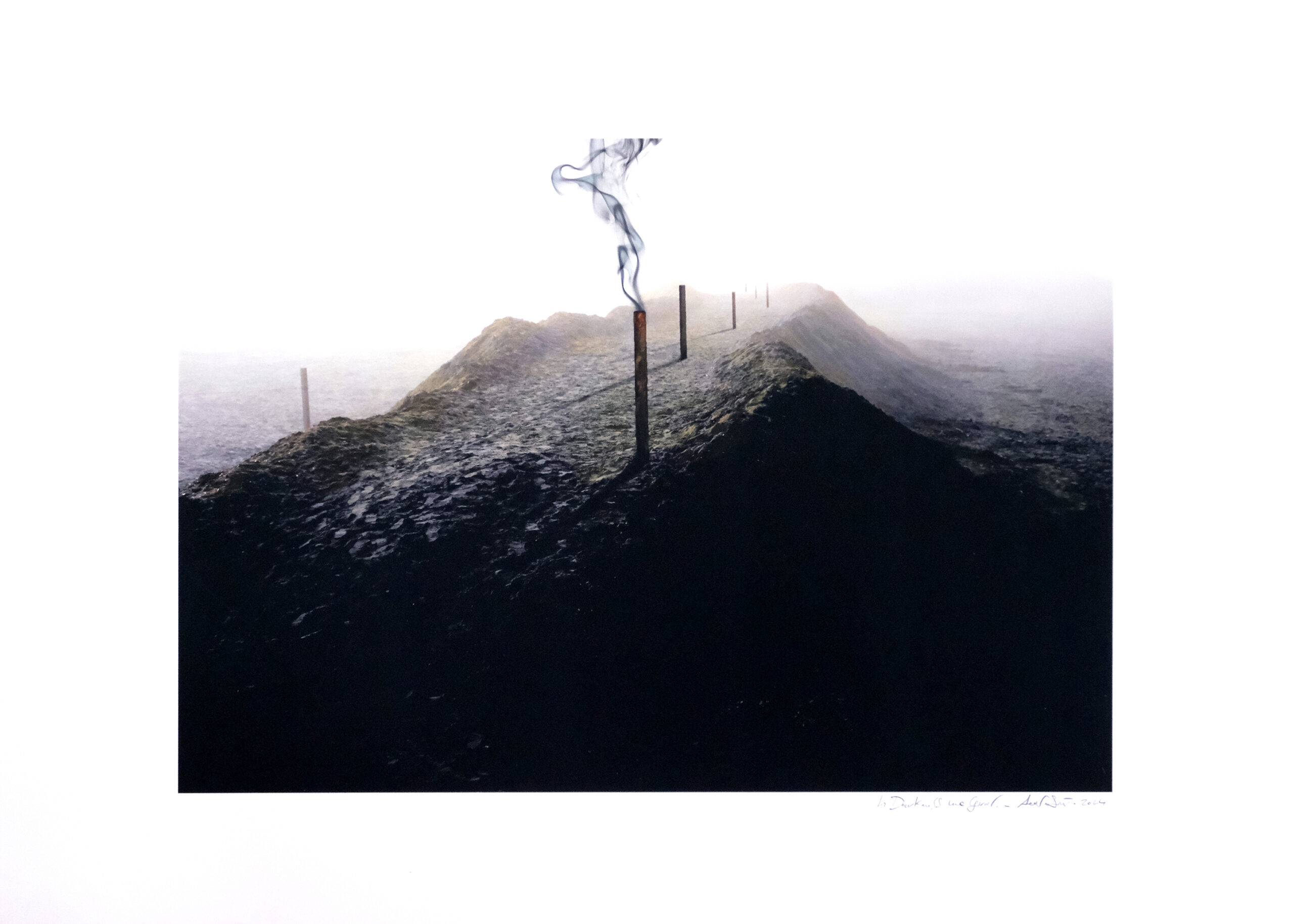 In Darkness, We Grow #9, 2024 - 70x100 cm - Tecnica mista su stampa digitale